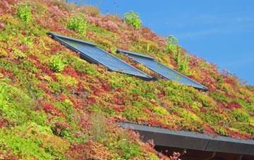 Lilstock living roof systems